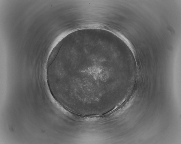 X0000111371389200908211309