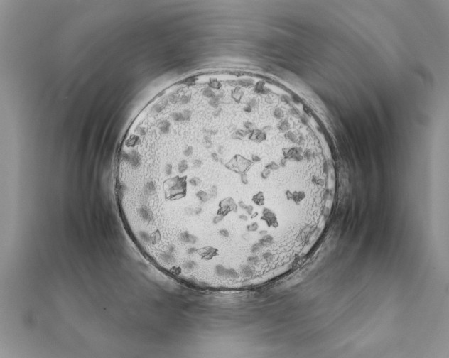 X0000111371390200908211309