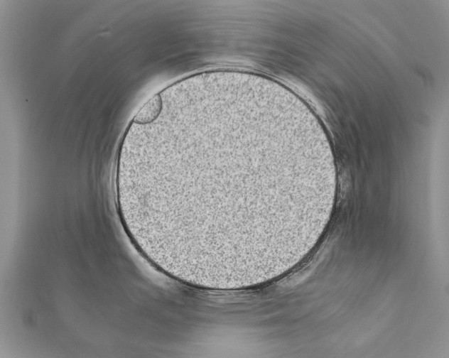 X0000111371391200908211309
