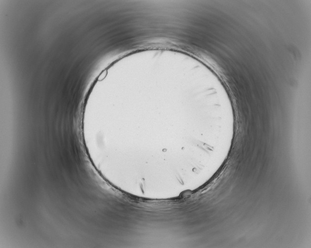 X0000111371392200908211309