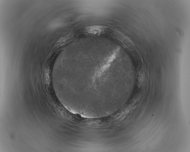 X0000111371394200908211308