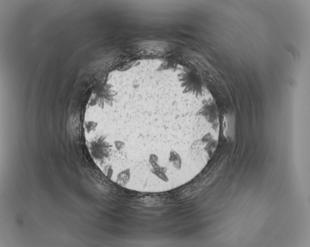 X0000111371395200908211308