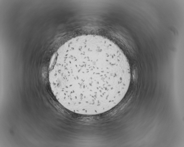 X0000111371396200908211308