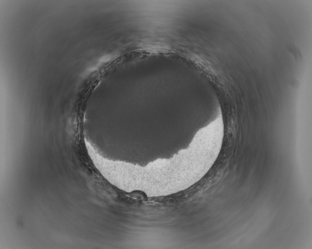 X0000111371398200908211308