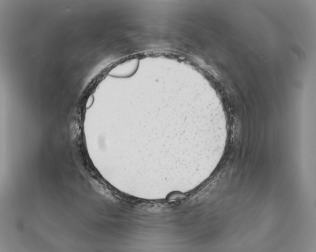 X0000111371400200908211308