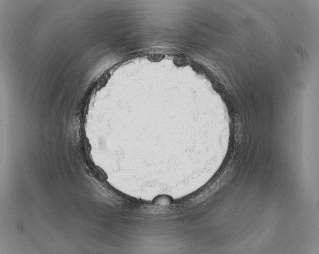 X0000111371402200908211308