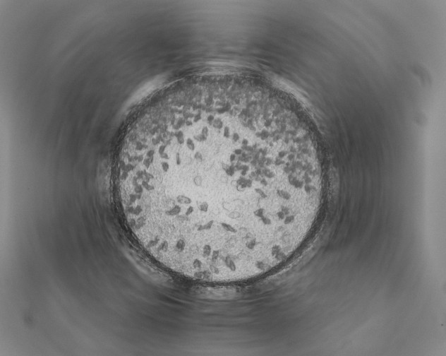 X0000111371403200908211308