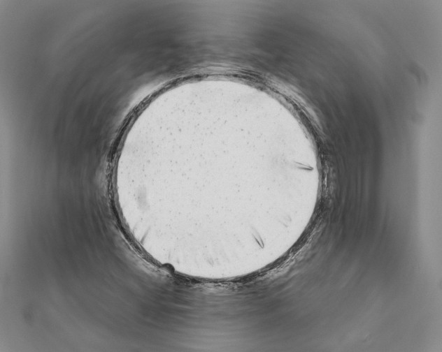 X0000111371404200908211308