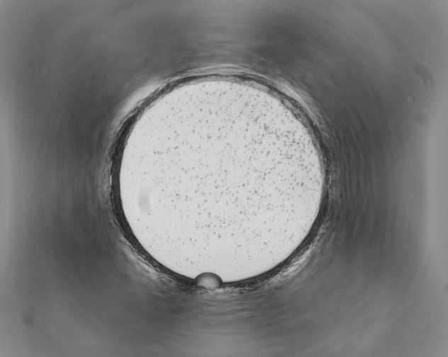 X0000111371406200908211308