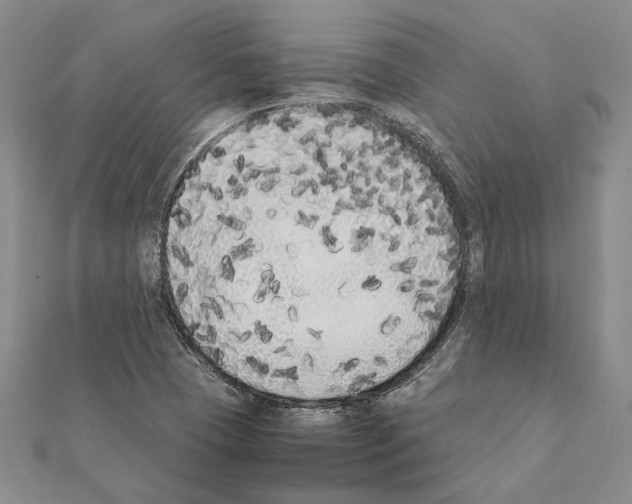X0000111371409200908211308