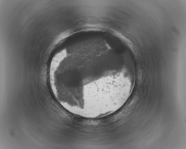 X0000111371411200908211308