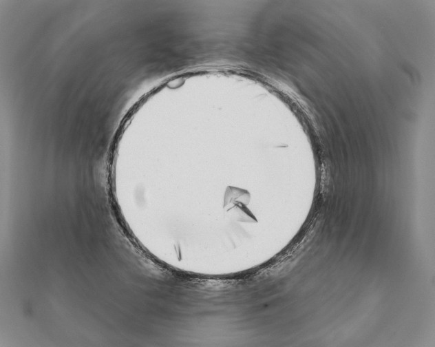 X0000111371412200908211308