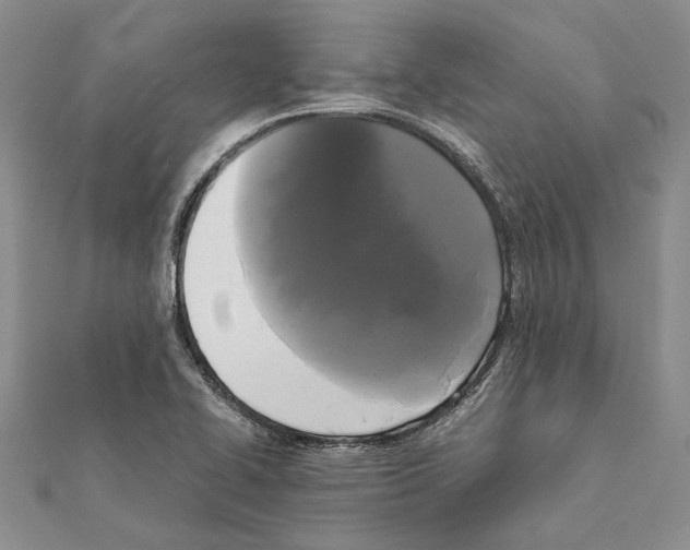 X0000111371414200908211308