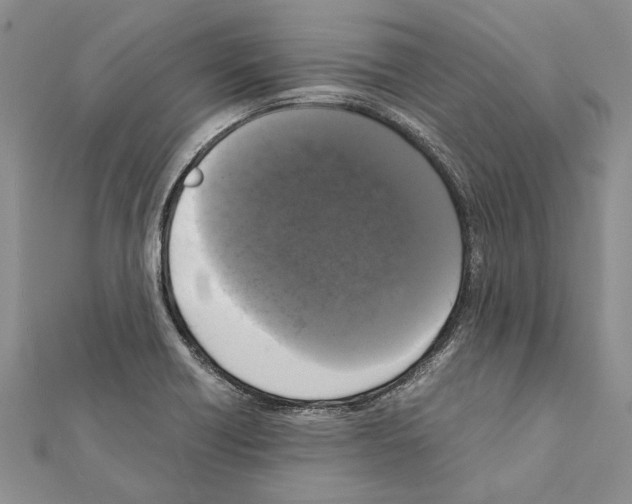 X0000111371418200908211308