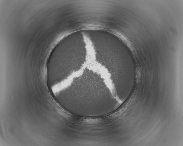 X0000111371419200908211308