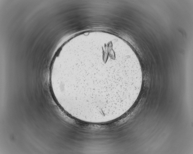 X0000111371420200908211308