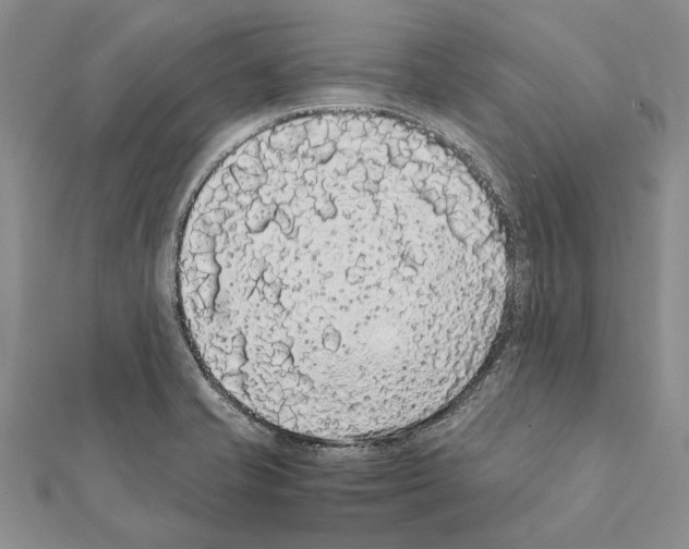 X0000111371421200908211308