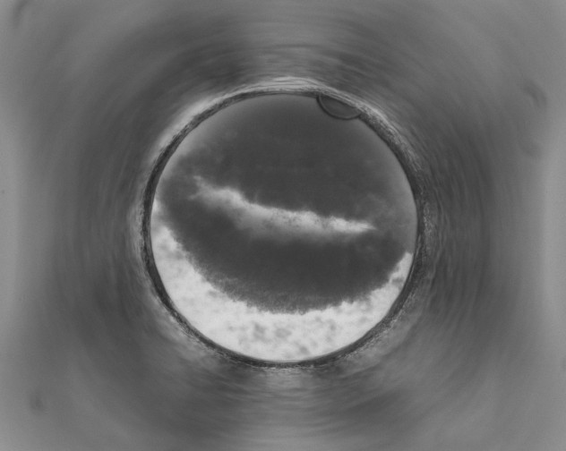 X0000111371422200908211308