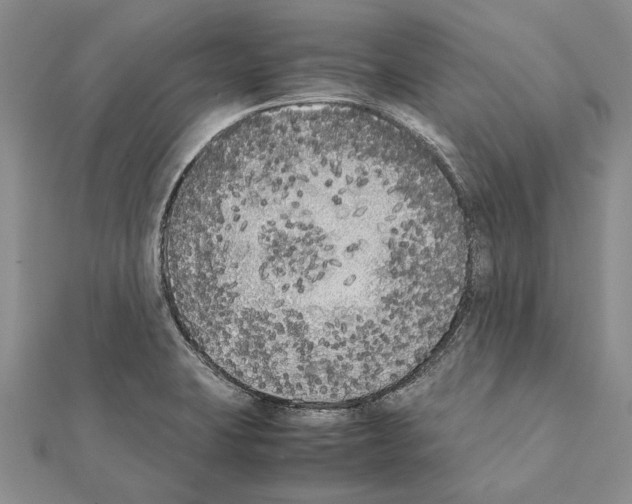 X0000111371423200908211308