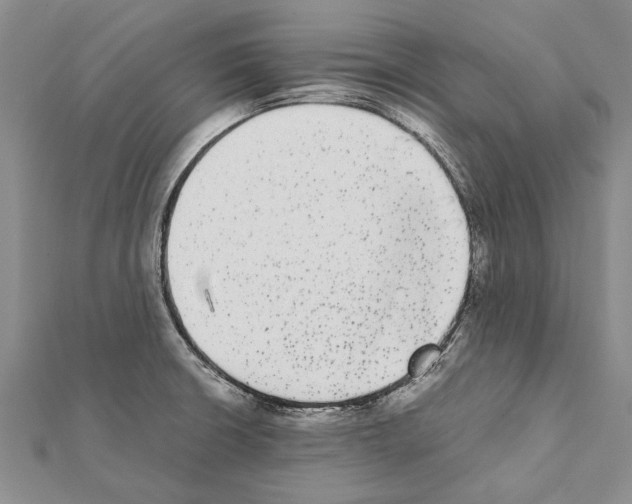 X0000111371426200908211308