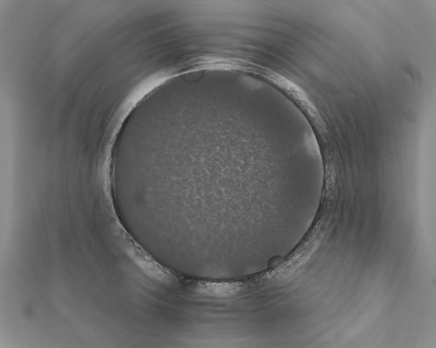 X0000111371427200908211308