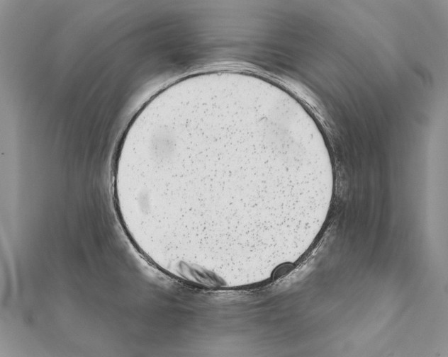 X0000111371430200908211308