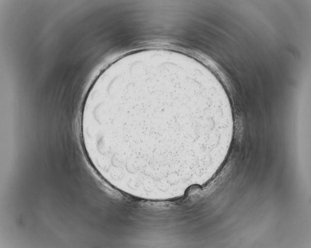 X0000111371432200908211308