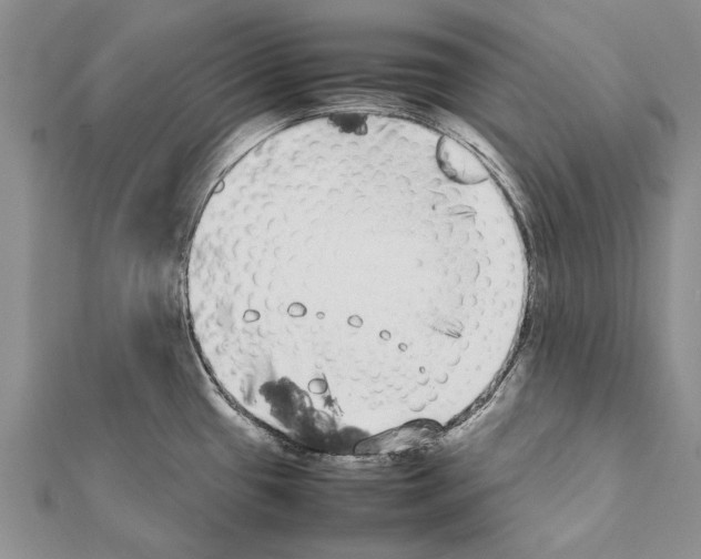 X0000111371433200908211308