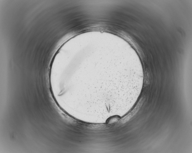 X0000111371434200908211308
