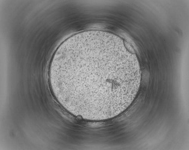 X0000111371435200908211308