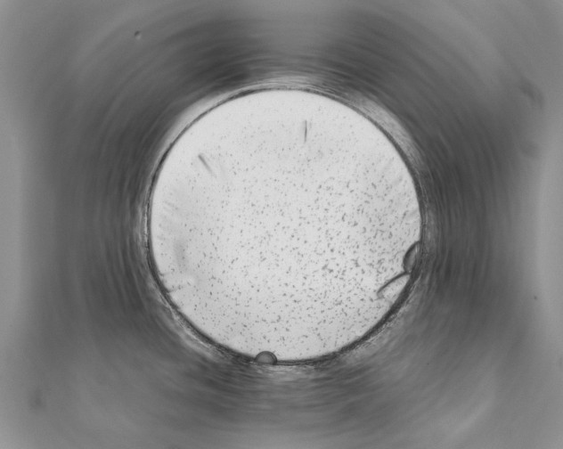 X0000111371436200908211308