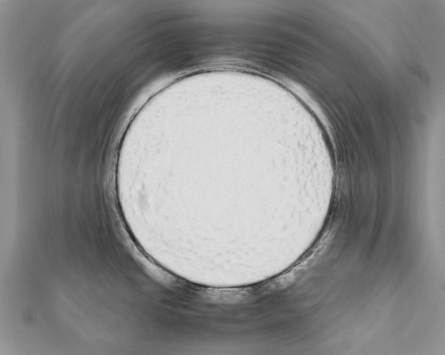 X0000111371437200908211309