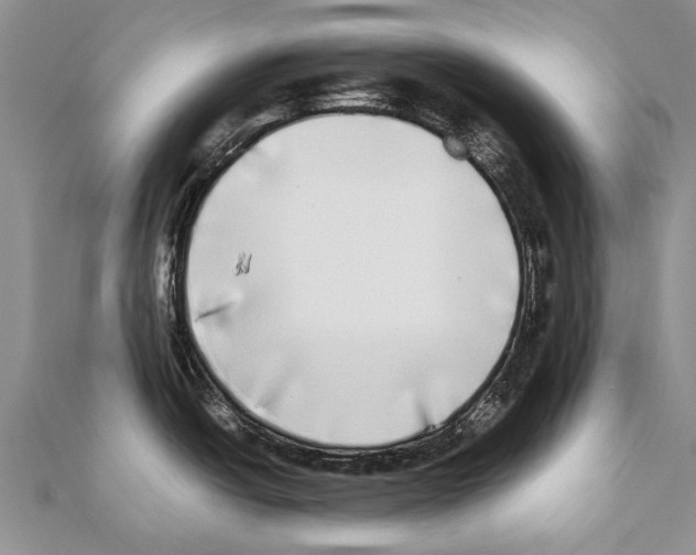 X0000111371438200908211309