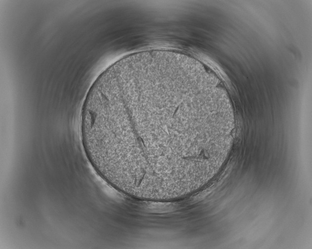 X0000111371439200908211309