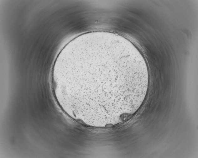X0000111371440200908211309