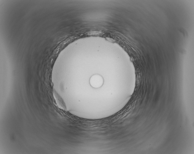 X0000111371441200908211308