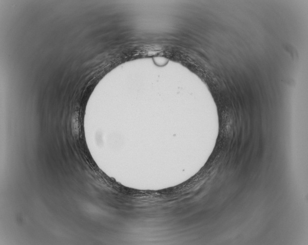 X0000111371442200908211308