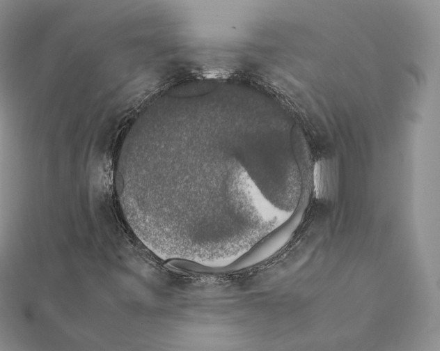 X0000111371443200908211308