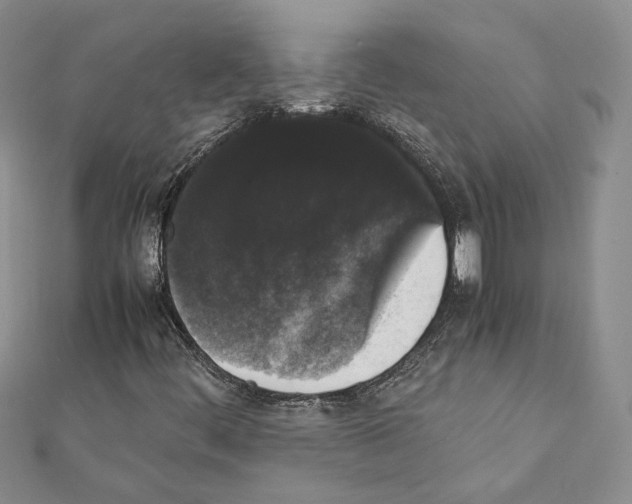 X0000111371444200908211308
