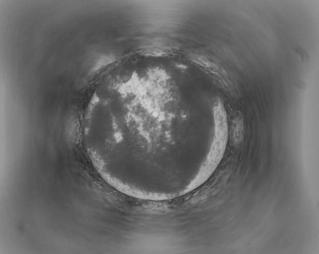 X0000111371446200908211308