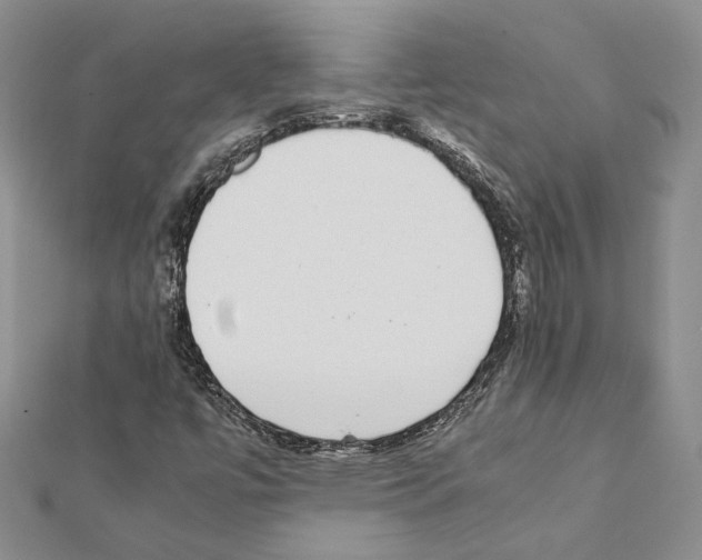 X0000111371447200908211308