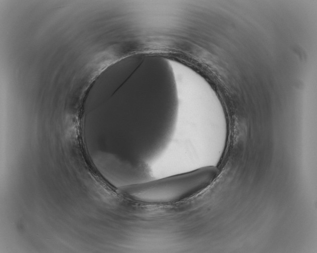 X0000111371449200908211308