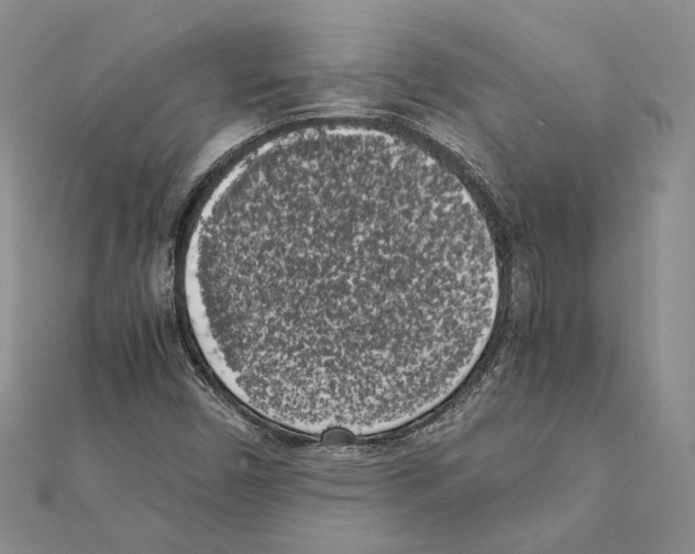 X0000111371450200908211308