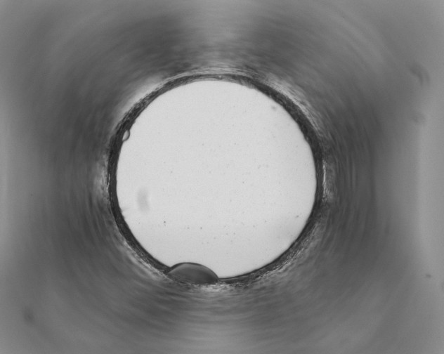 X0000111371452200908211308