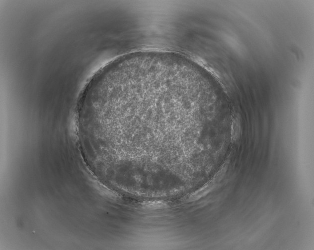 X0000111371454200908211308