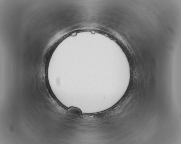 X0000111371456200908211308