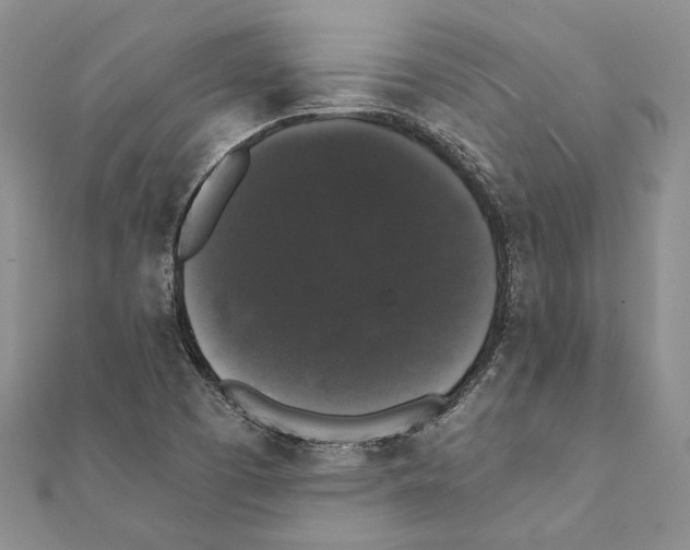 X0000111371457200908211308