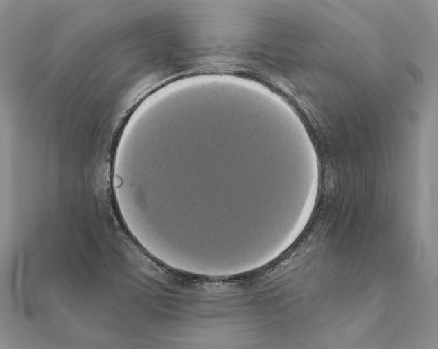 X0000111371459200908211308