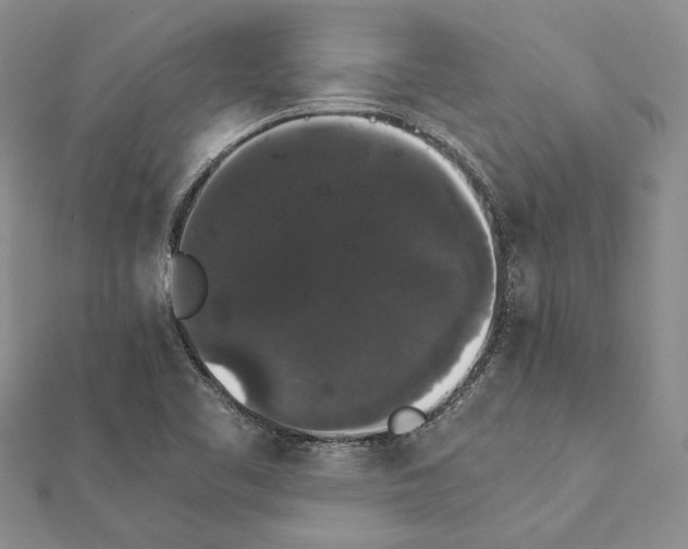 X0000111371461200908211308