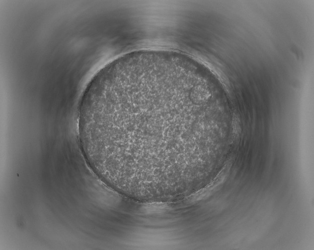 X0000111371462200908211307